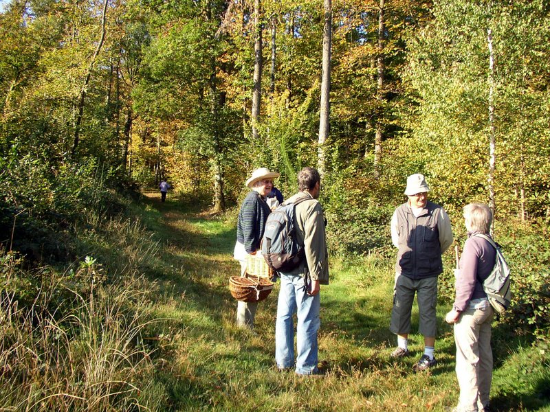 2011 10 02 Baies et champignons 12